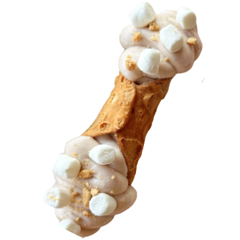Campfire S'mores